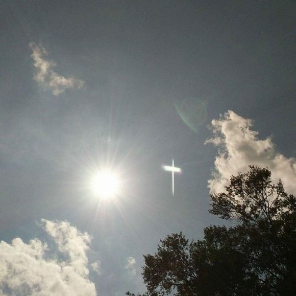 Meet your Posher, Tara - Picture 1 of 1